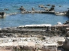 basilika-in-kenchraa_0